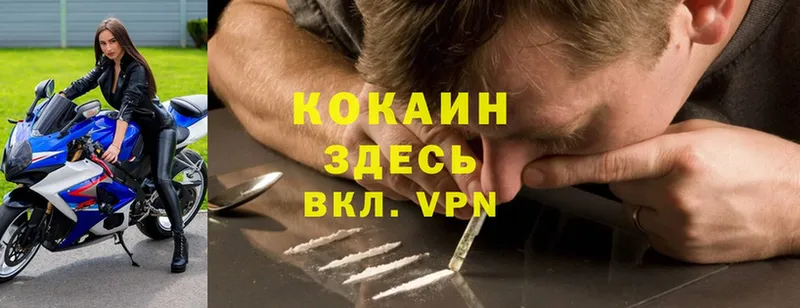 Cocaine FishScale  где купить наркотик  Кашин 