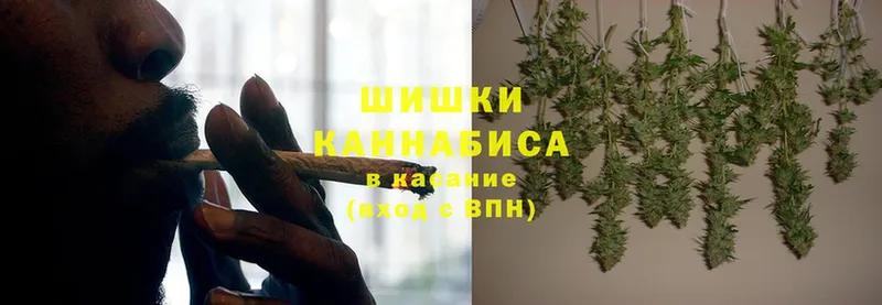 Бошки Шишки Bruce Banner  Кашин 